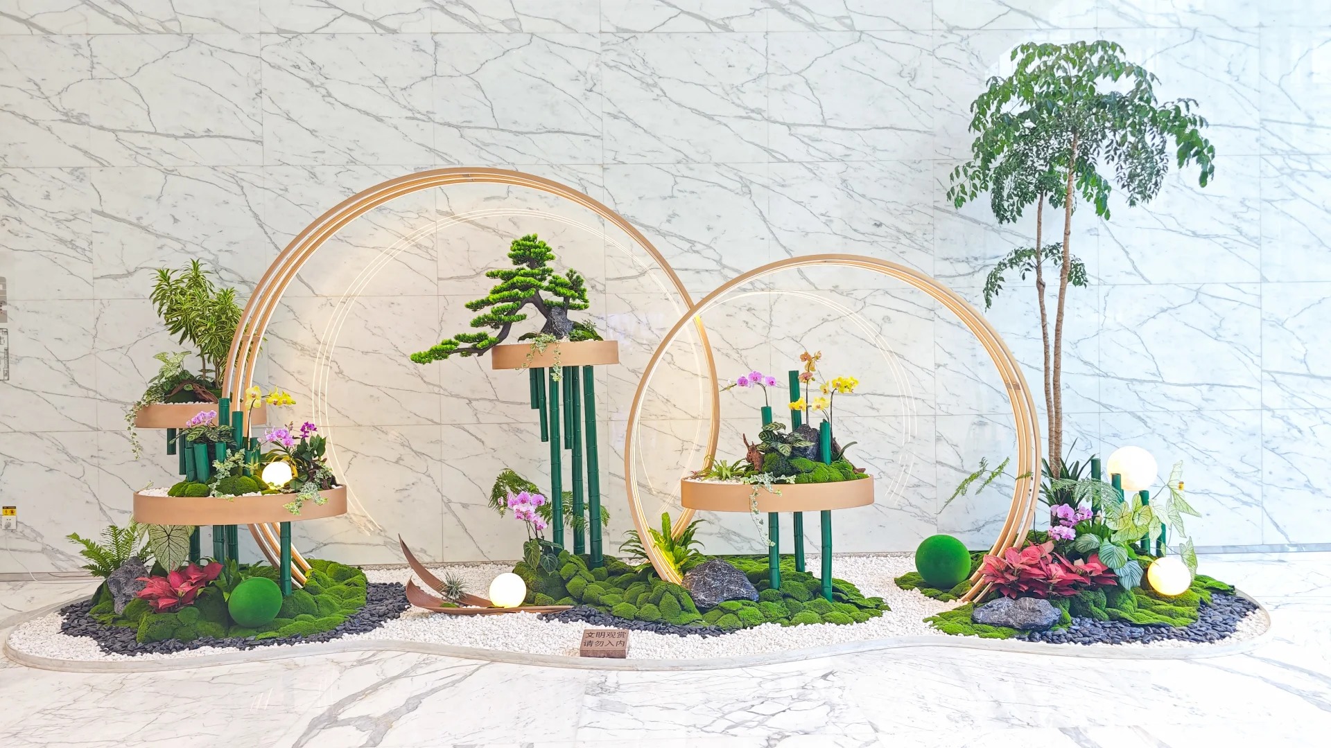 价格实惠的盆景租赁,就在宁波鄞州!